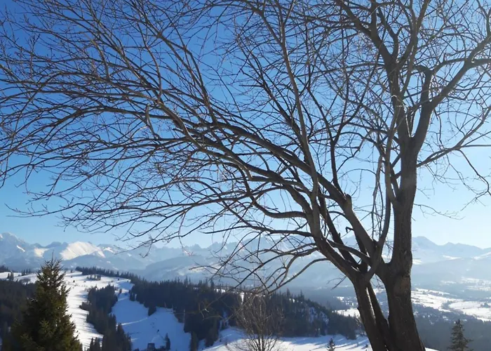 Koslowka Appartamento