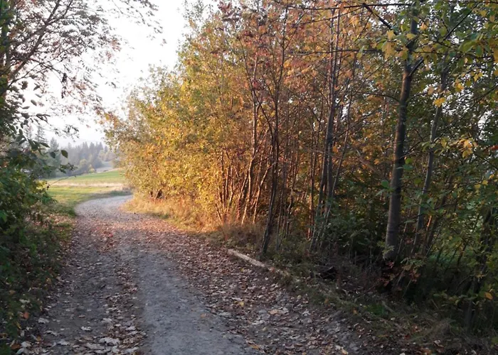 Appartamento Koslowka