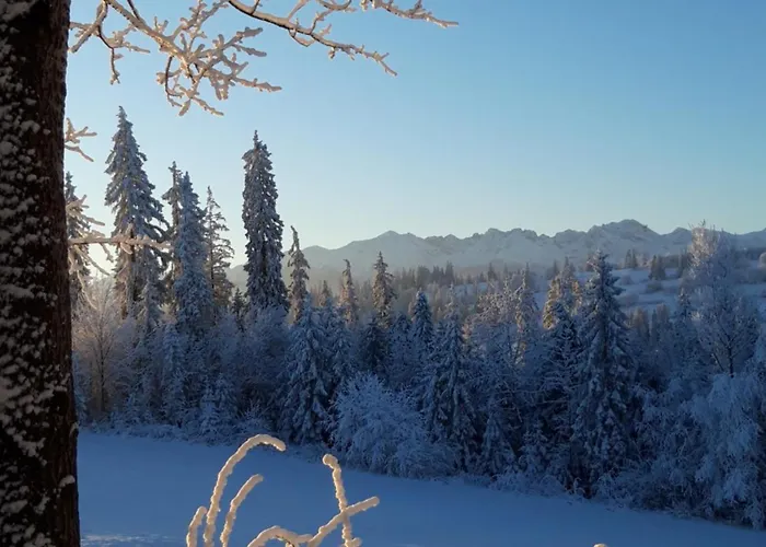 Koslowka Appartamento *